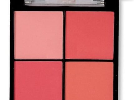 4 in 1 Makeup Palette | 4 Colors High Pigmented Makeup Palette