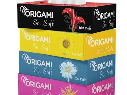 Origami 2 Ply Facial Tissue Box | Car Tissue – Pack of 4 (100 Pulls Per Box, 400 Sheets (800 sheets)
