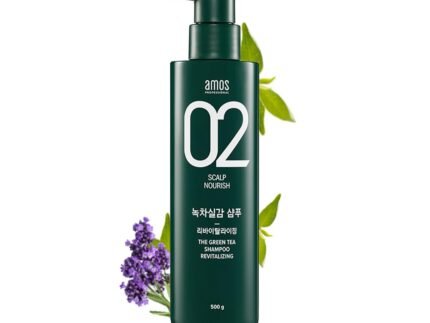AMOS PROFESSIONAL The Green Tea Shampoo Refresh [For Oily Scalp] 17.6oz (500g) | Anti-Hair Loss Korean Hair Growth Shampoo for Cleanse Excess Sebum