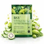 BSY Noni Black Hair Magic Hair Color Shampoo (12ml x 6 Sachets) | Ammonia-Free Natural Permanent Hair Color for Men and Women | 5 Minutes Noni Fruit Dye