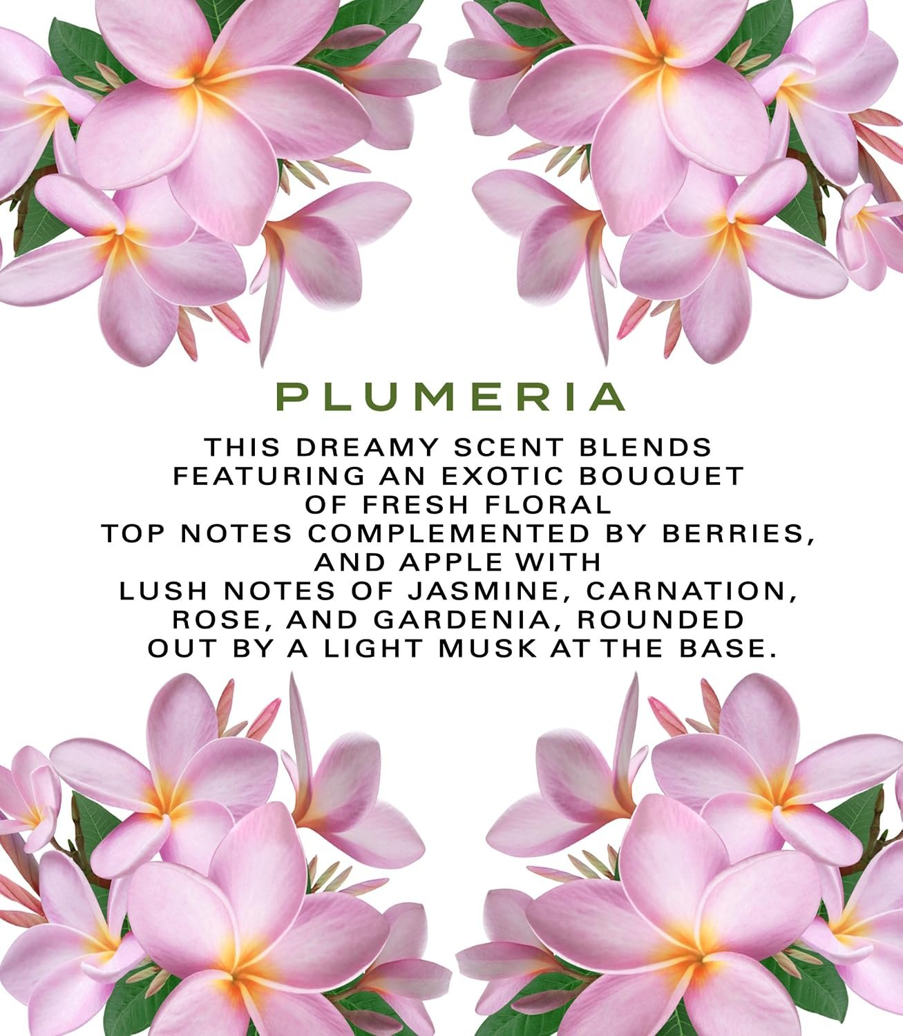 1791054538 Botanical Beauty PLUMERIA WHIPPED BODY BUTTER with Shea Butter Cocoa Butter Coconut Oil for All Skin Types for Dry Sensitive Skin. Moisturizing Cream for Women Men 8 Fl Oz 240 ml