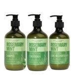 EBIN NEW YORK Mielle Rosemary Oil for Hair Growth Organic –Rosemary Mint Shampoo 16 Oz Bundle with Leave-In Conditioner and Strengthening Conditioner Nourishing Formula for Scalp Gift Set(3 Items)