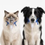 Large Pet Oxygen Mask for Cats and Dogs, 1 Pack, Clear Veterinary Pet Mask with Standard Connector, Compatible with Oxygen Concentrators