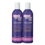 Shiny Silver Conditioner Ultra Color Enhancing 12 Ounce (354ml) (2 Pack)