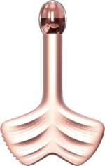 Stainless Steel Gua Sha & Face Rollers – Metal Roller for Eyes & Neck, Anti-Aging Facial Massage Tools, Gua Sha Facial Tool Kit (Leaf Shape)