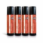 Tallow & Beeswax Lip Balm, Birch, 4-Pack, 0.15 oz