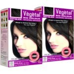 Vegetal Bio Hair Colour Soft Black (50gm x Pack of 2) Natural Hair Dye